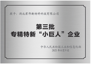 國家級專精特新“小巨人”認定